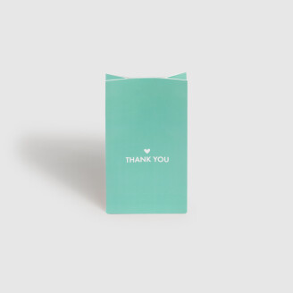 05 02 004 43 020 Kartonkikassi thank you  kopiera image