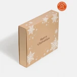 04 02 001 02 022 Joulukalenteri 24 tyhjalla pakkauksella 1